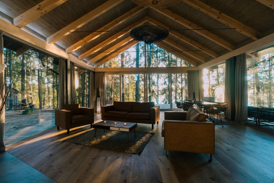 A lounge with tall windows onto the forest