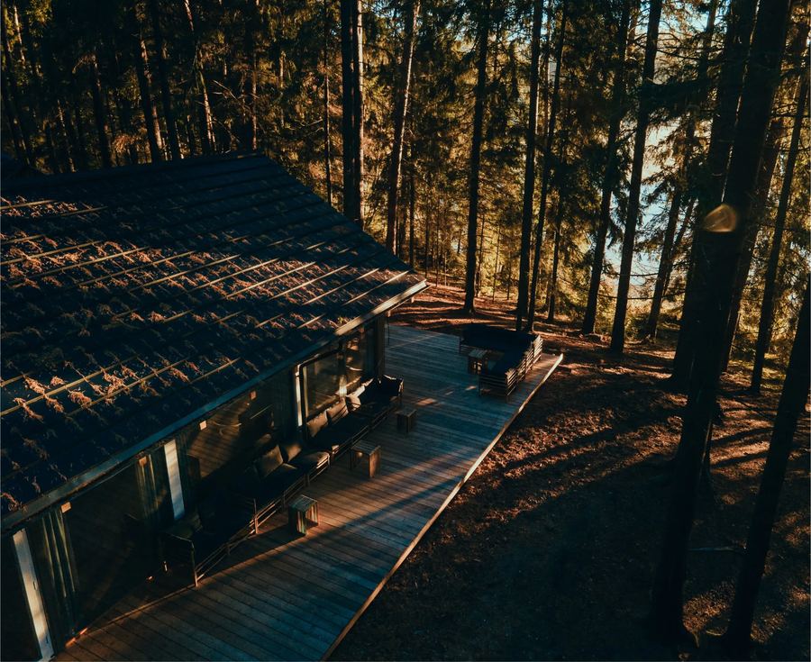 A wooden house and its deck among the pines, in late sun