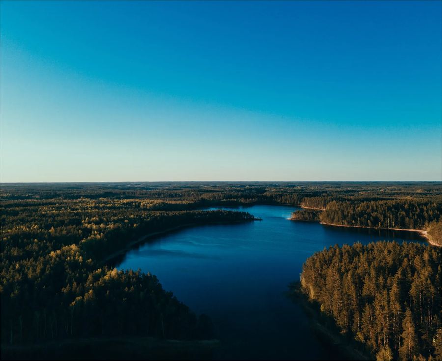 The lake and the forest from above on a clear summer day
