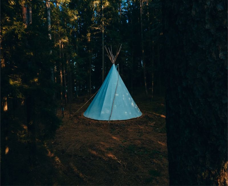 A blue tipi among the pines